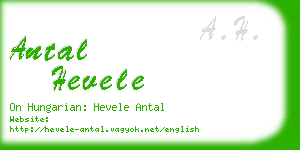 antal hevele business card